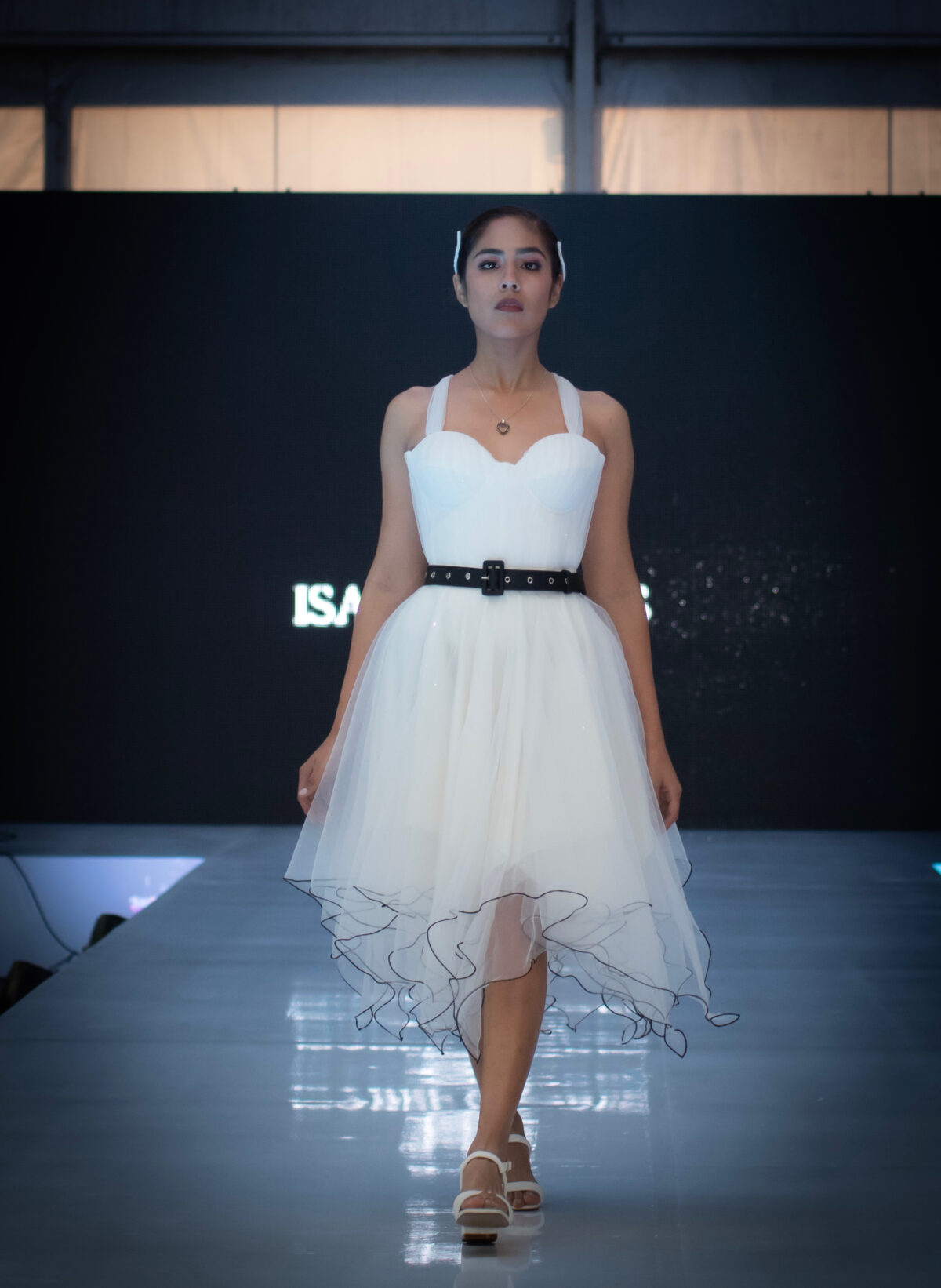 Corset Swan Flight